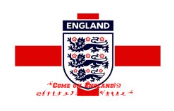Come on England! Euro 2012